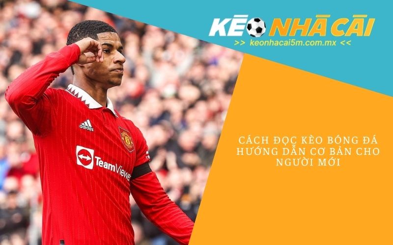 Cách Đọc Kèo Bóng Đá_ Hướng Dẫn Cơ Bản Cho Người Mới